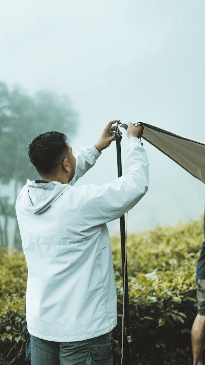 Free stock photo of asia, asian, bogor